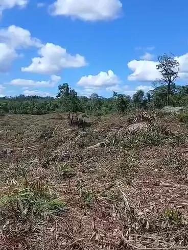 Fazenda em Sítio Novo/Maranhão — Ref 4X3BDS — Imagem 4