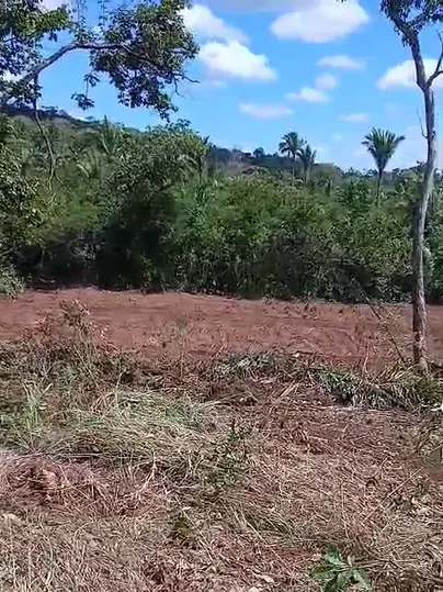 Fazenda em Sítio Novo/Maranhão — Ref 4X3BDS — Imagem 5