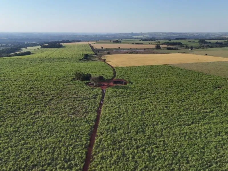 Fazenda em Tatuí/São Paulo — Ref TZB0UK — Imagem 4