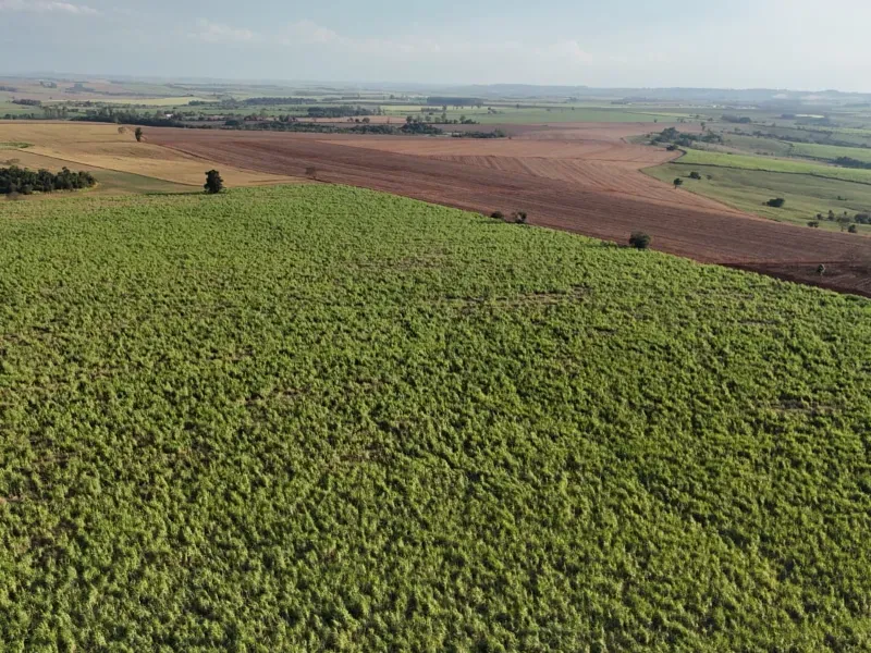Fazenda em Tatuí/São Paulo — Ref TZB0UK — Imagem 5