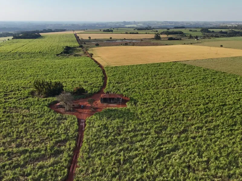 Fazenda em Tatuí/São Paulo — Ref TZB0UK — Imagem 6