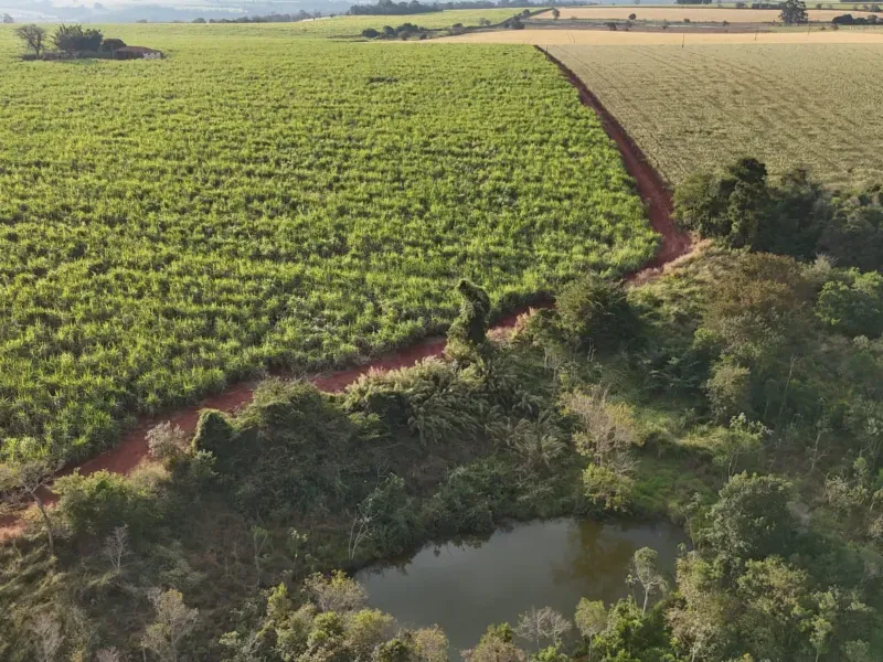 Fazenda em Tatuí/São Paulo — Ref TZB0UK — Imagem 7