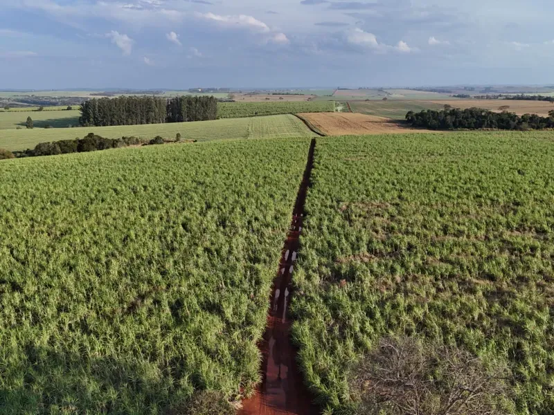 Fazenda em Tatuí/São Paulo — Ref TZB0UK — Imagem 9