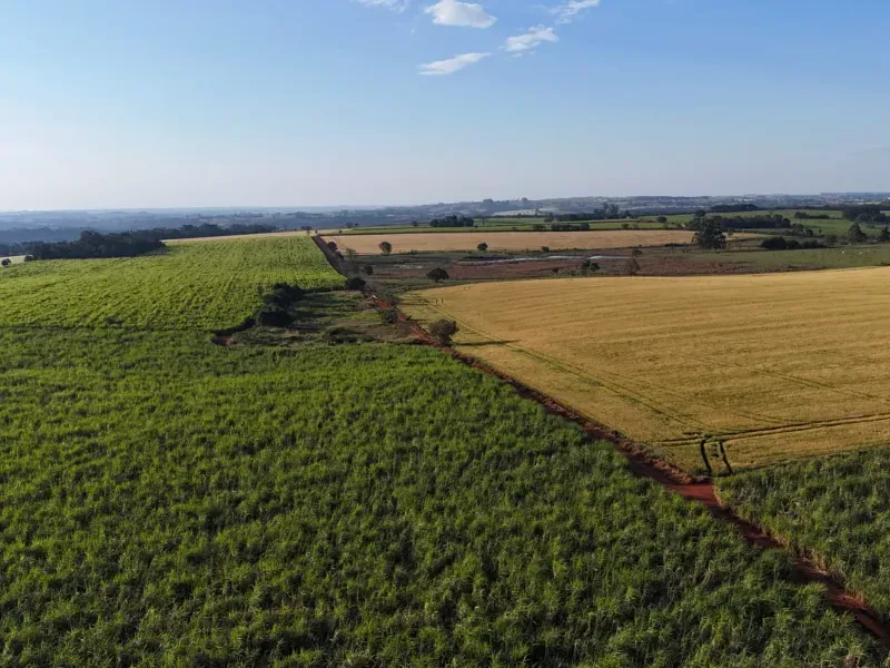 Fazenda em Tatuí/São Paulo — Ref TZB0UK — Imagem 13