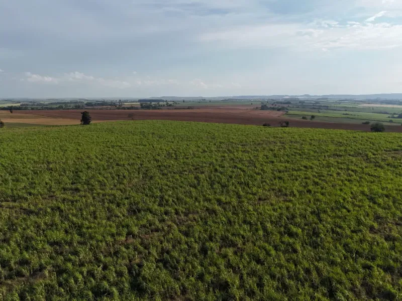 Fazenda em Tatuí/São Paulo — Ref TZB0UK — Imagem 15