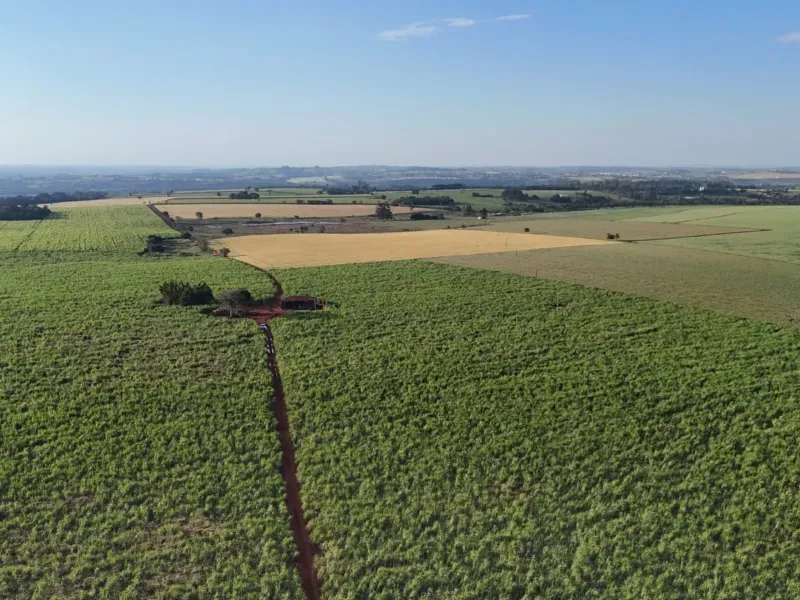 Fazenda em Tatuí/São Paulo — Ref TZB0UK — Imagem 17