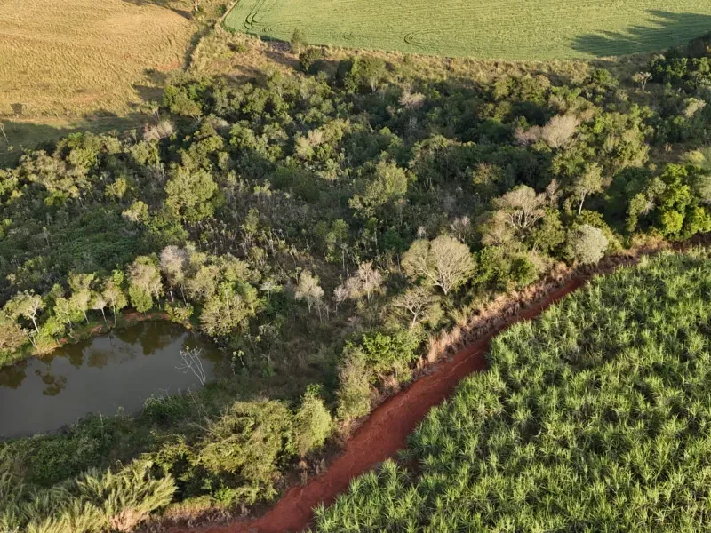 Fazenda em Tatuí/São Paulo — Ref TZB0UK — Imagem 18