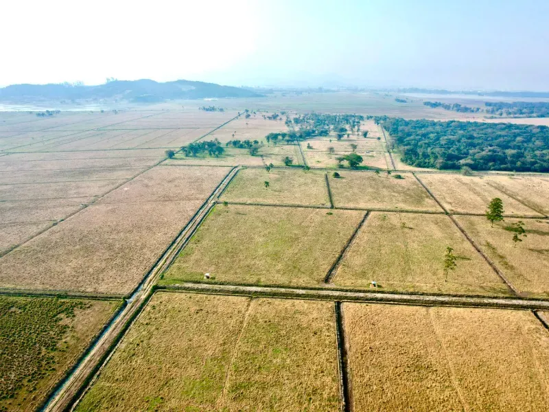 Fazenda em Tijucas/Santa Catarina — Ref F2PXKB — Imagem 4