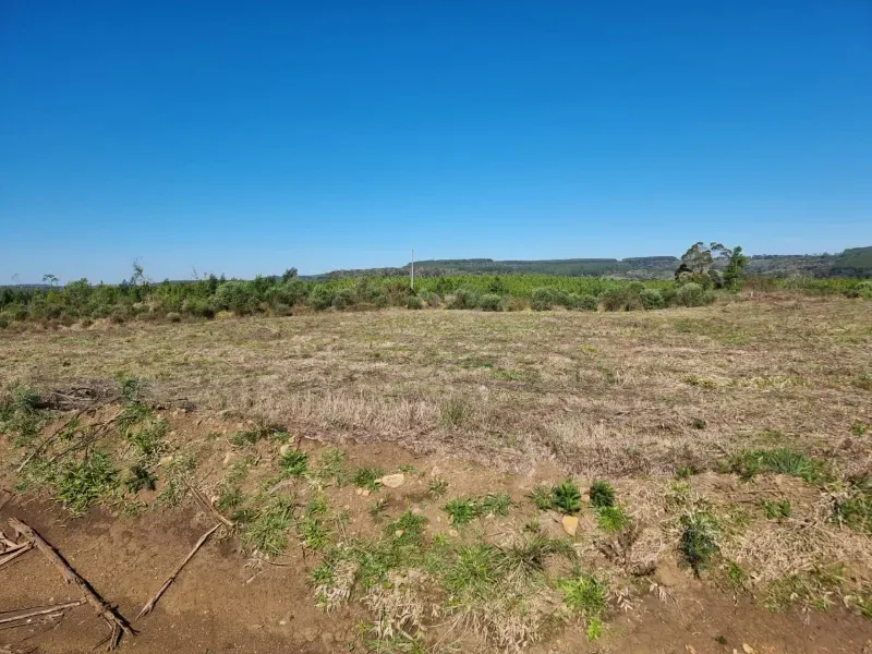 Fazenda em Timbó Grande/Santa Catarina — Ref OJ6KCN — Imagem 2