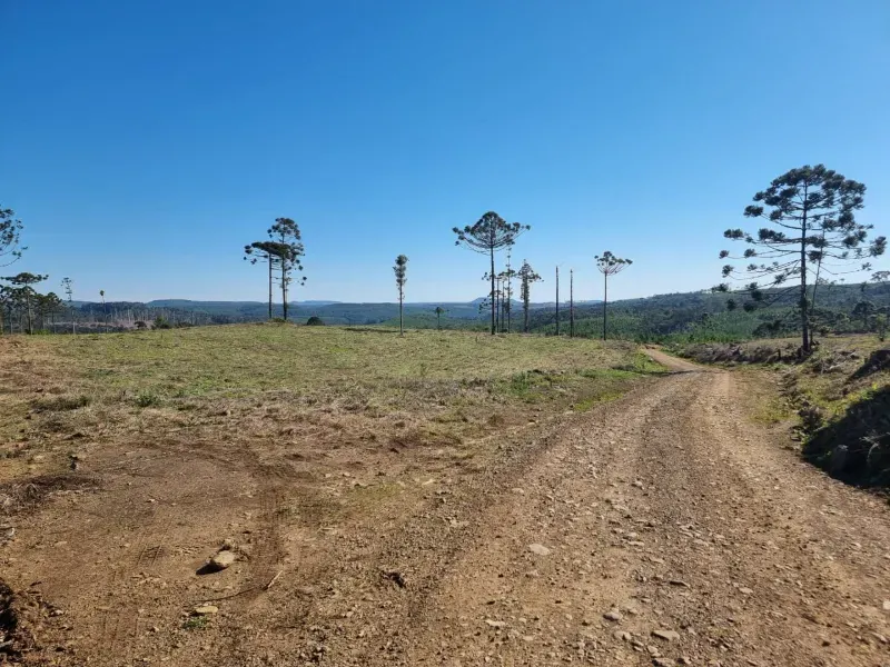 Fazenda em Timbó Grande/Santa Catarina — Ref OJ6KCN — Imagem 3