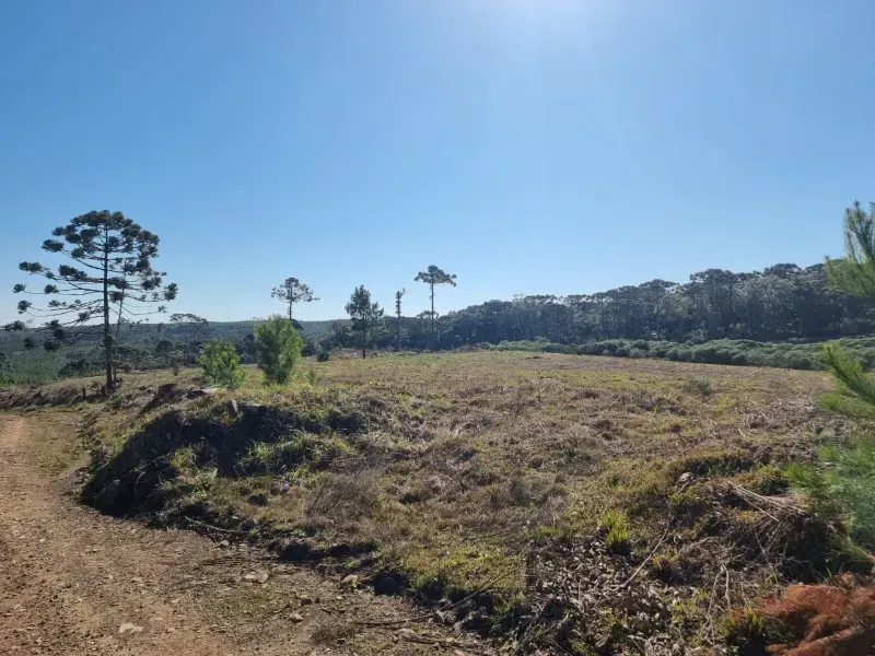 Fazenda em Timbó Grande/Santa Catarina — Ref OJ6KCN — Imagem 4