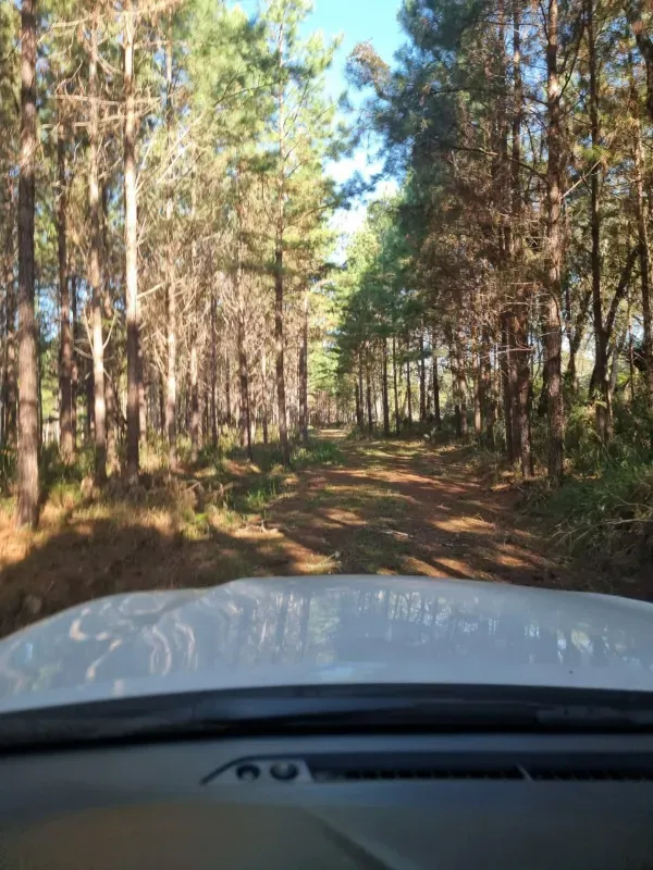 Fazenda em Timbó Grande/Santa Catarina — Ref OJ6KCN — Imagem 13
