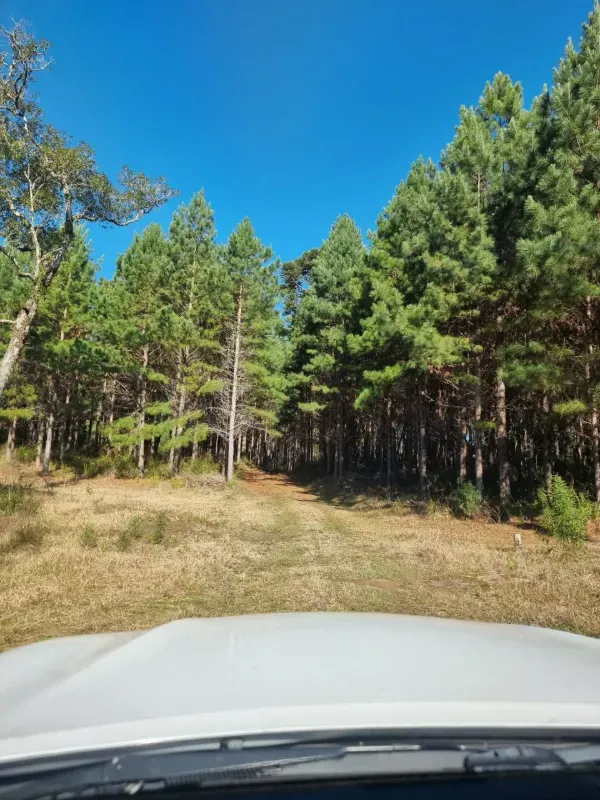 Fazenda em Timbó Grande/Santa Catarina — Ref OJ6KCN — Imagem 7