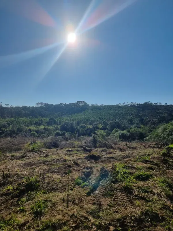 Fazenda em Timbó Grande/Santa Catarina — Ref OJ6KCN — Imagem 10