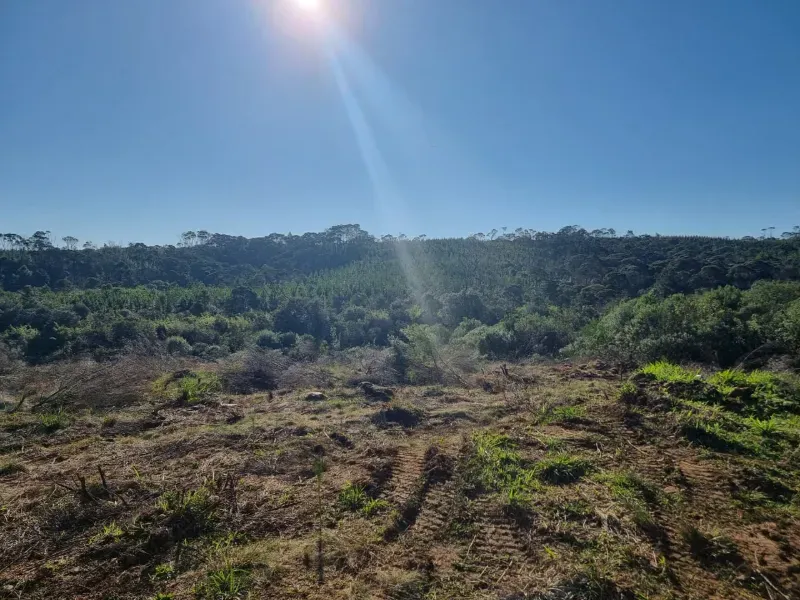 Fazenda em Timbó Grande/Santa Catarina — Ref OJ6KCN — Imagem 9
