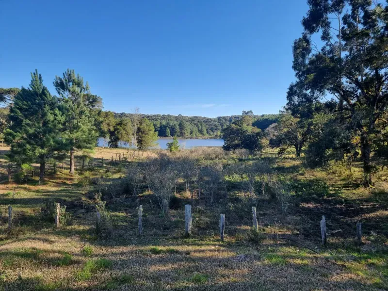 Fazenda em Timbó Grande/Santa Catarina — Ref OJ6KCN — Imagem 8
