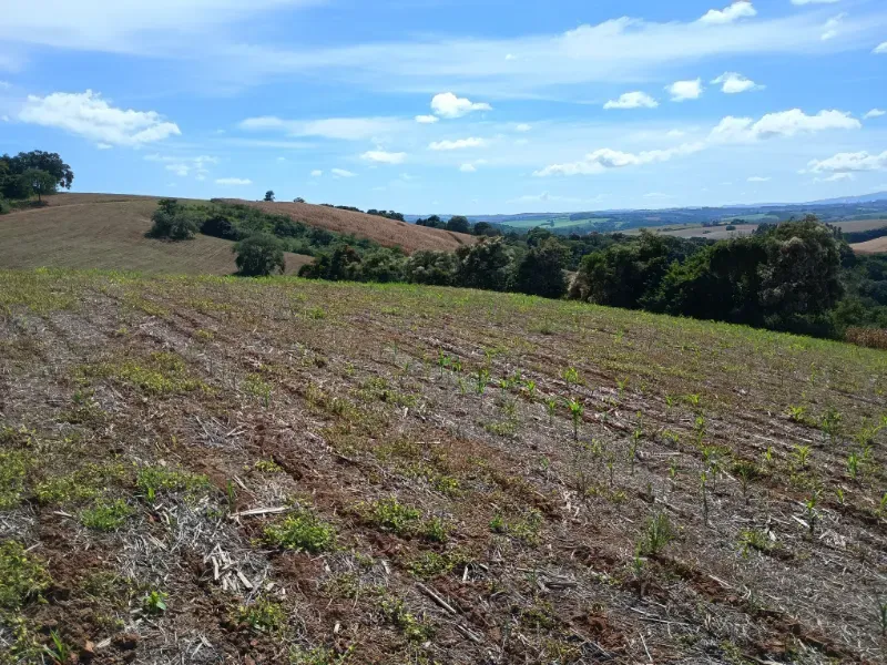 Imóvel rural em Três Corações/Minas Gerais — Ref 494XUN1