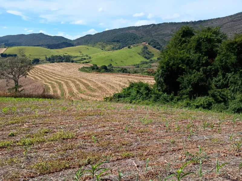 Fazenda em Três Corações/Minas Gerais — Ref 494XUN — Imagem 2