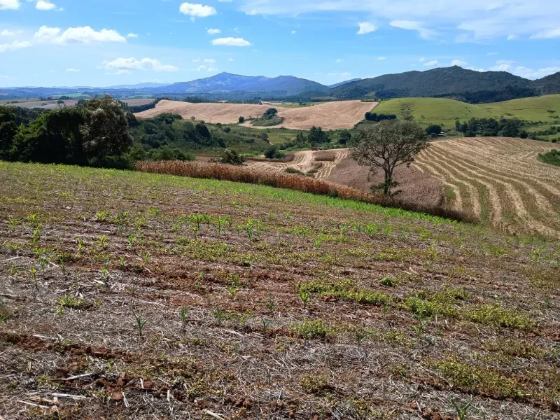 Fazenda em Três Corações/Minas Gerais — Ref 494XUN — Imagem 3