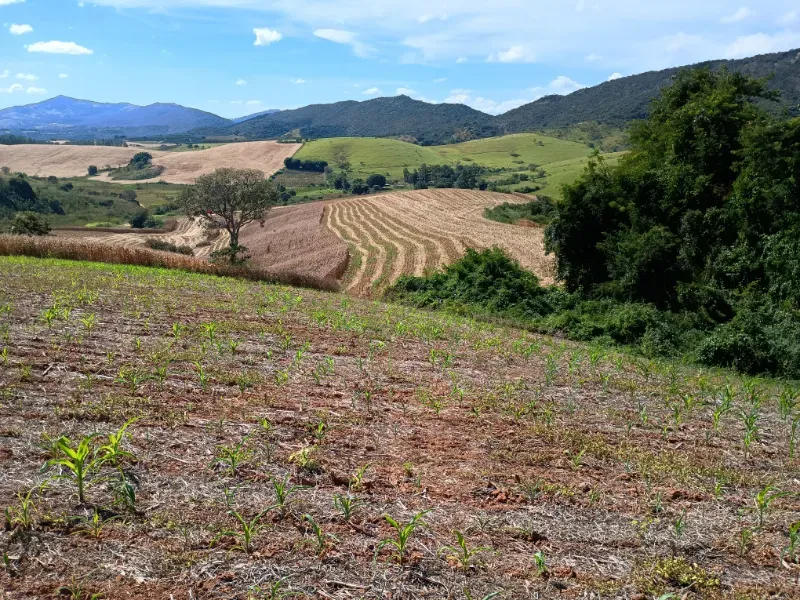 Fazenda em Três Corações/Minas Gerais — Ref 494XUN — Imagem 4