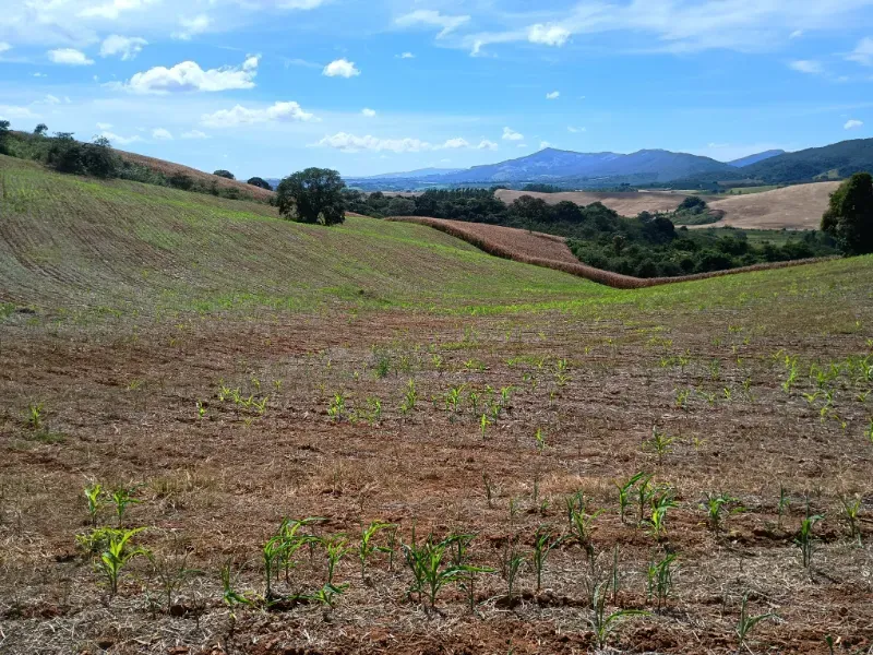 Fazenda em Três Corações/Minas Gerais — Ref 494XUN — Imagem 5