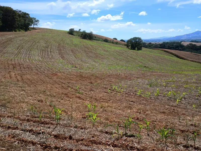 Fazenda em Três Corações/Minas Gerais — Ref 494XUN — Imagem 6