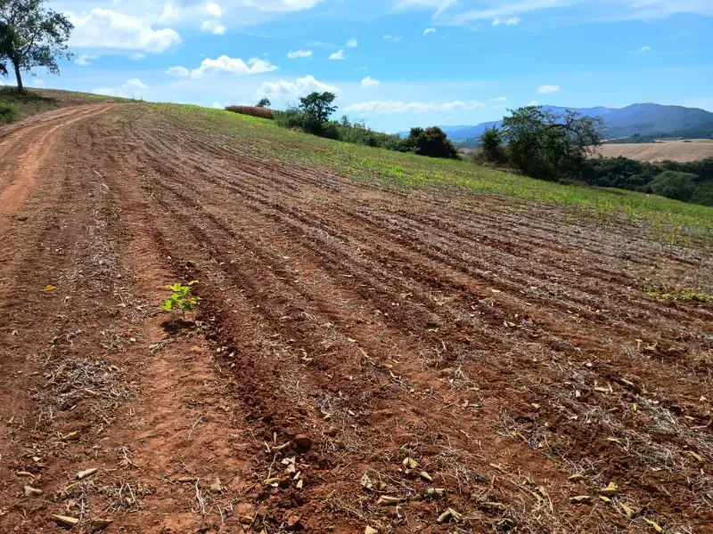 Fazenda em Três Corações/Minas Gerais — Ref 494XUN — Imagem 7