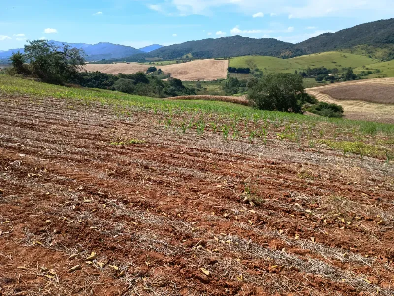 Fazenda em Três Corações/Minas Gerais — Ref 494XUN — Imagem 8