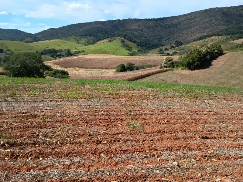 Fazenda em Três Corações/Minas Gerais — Ref 494XUN — Imagem 9