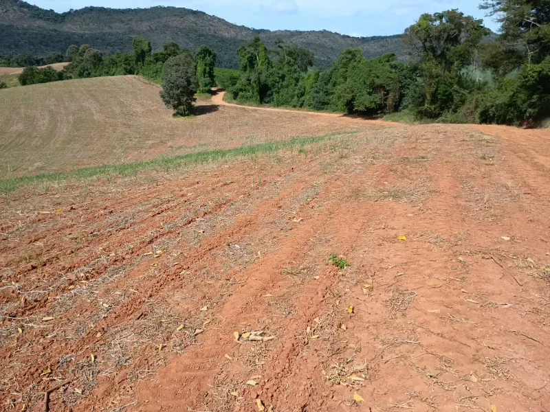 Fazenda em Três Corações/Minas Gerais — Ref 494XUN — Imagem 10