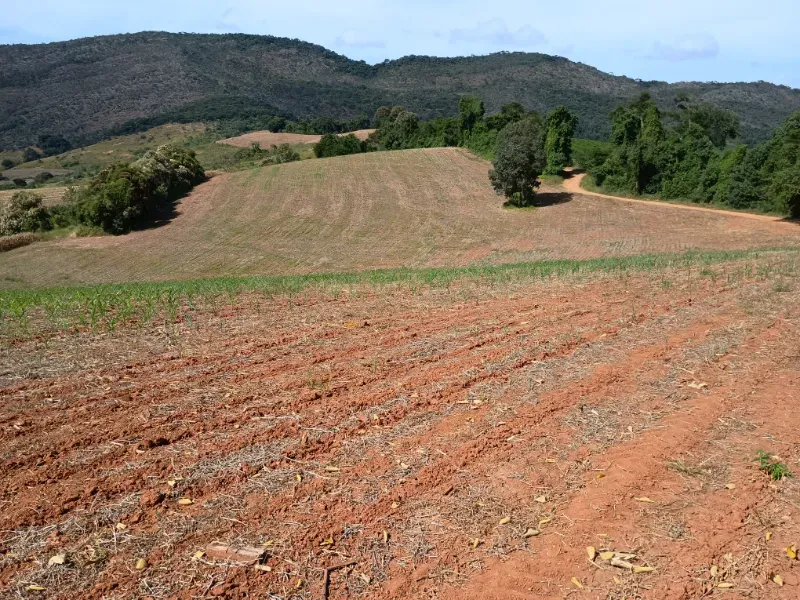 Fazenda em Três Corações/Minas Gerais — Ref 494XUN — Imagem 11
