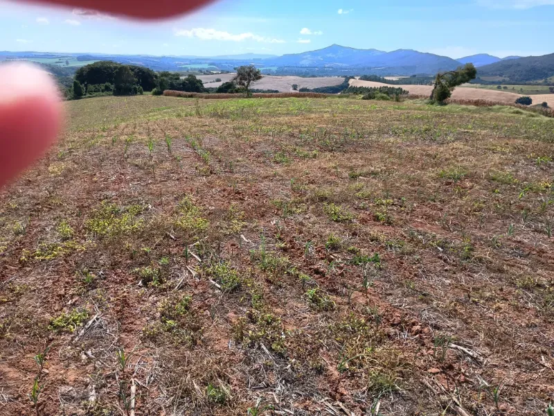 Fazenda em Três Corações/Minas Gerais — Ref 494XUN — Imagem 12
