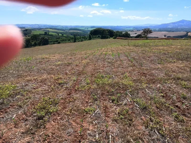 Fazenda em Três Corações/Minas Gerais — Ref 494XUN — Imagem 13