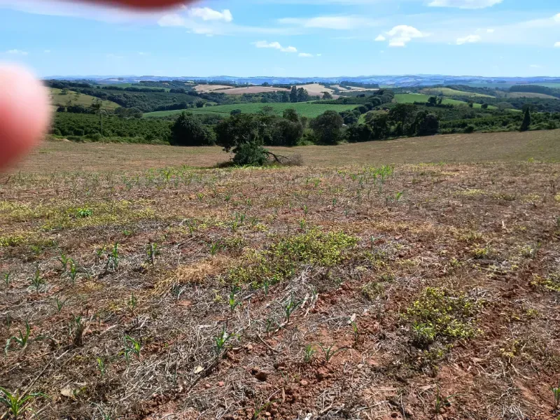 Fazenda em Três Corações/Minas Gerais — Ref 494XUN — Imagem 14