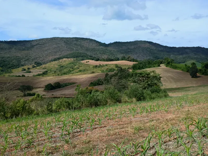 Fazenda em Três Corações/Minas Gerais — Ref 494XUN — Imagem 15