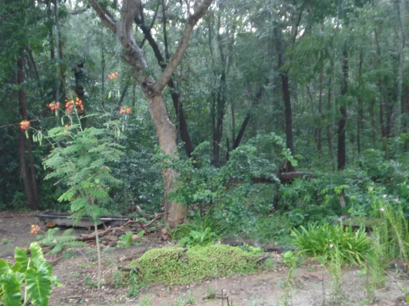 Fazenda em Trombas/Goiás — Ref KUUXAG — Imagem 15