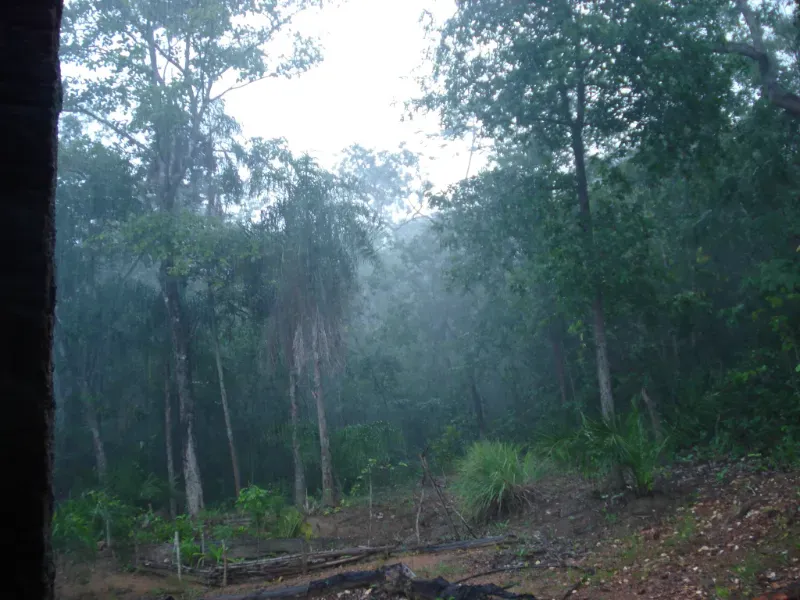 Fazenda em Trombas/Goiás — Ref KUUXAG — Imagem 16