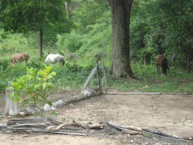 Fazenda em Trombas/Goiás — Ref KUUXAG — Imagem 18