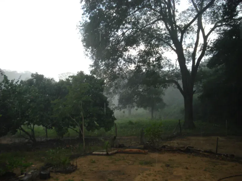 Fazenda em Trombas/Goiás — Ref KUUXAG — Imagem 19