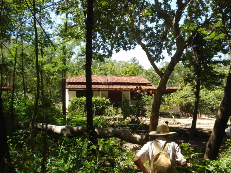 Fazenda em Trombas/Goiás — Ref KUUXAG — Imagem 20