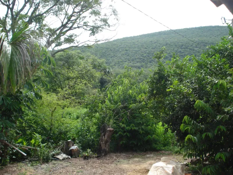 Fazenda em Trombas/Goiás — Ref KUUXAG — Imagem 22