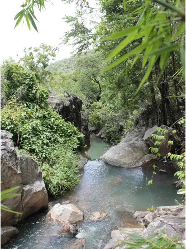 Fazenda em Trombas/Goiás — Ref KUUXAG — Imagem 30