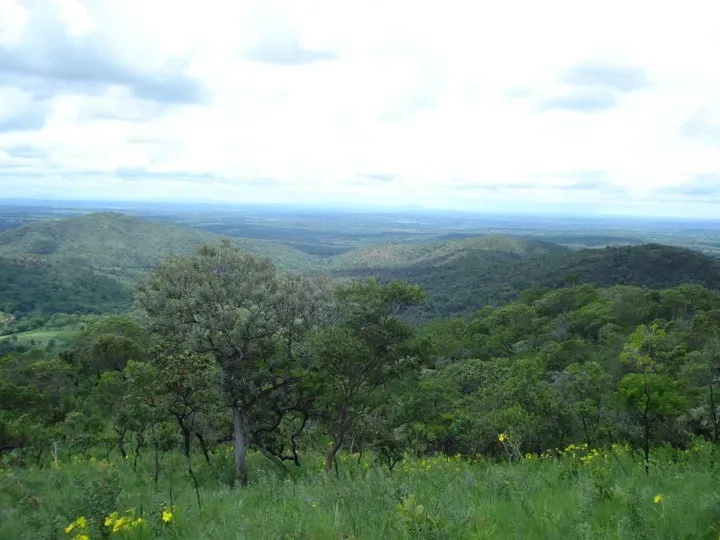 Fazenda em Trombas/Goiás — Ref KUUXAG — Imagem 33