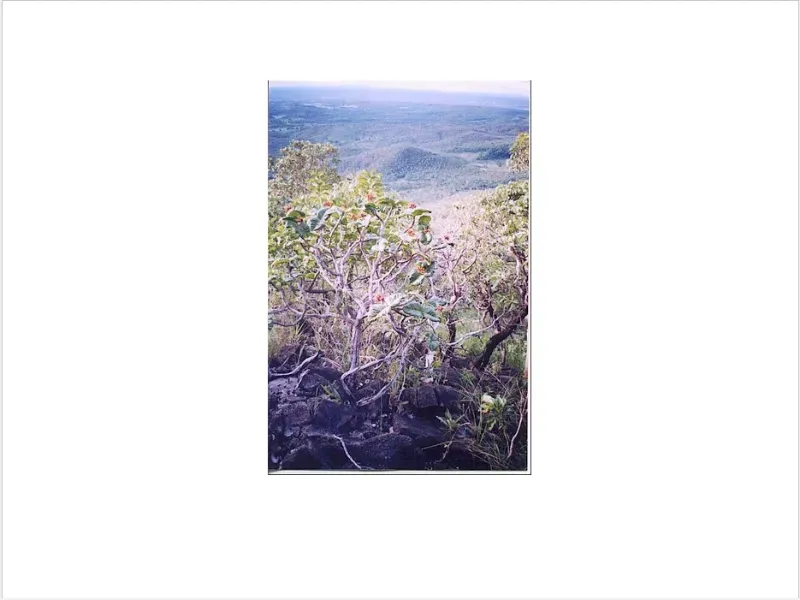 Fazenda em Trombas/Goiás — Ref KUUXAG — Imagem 34