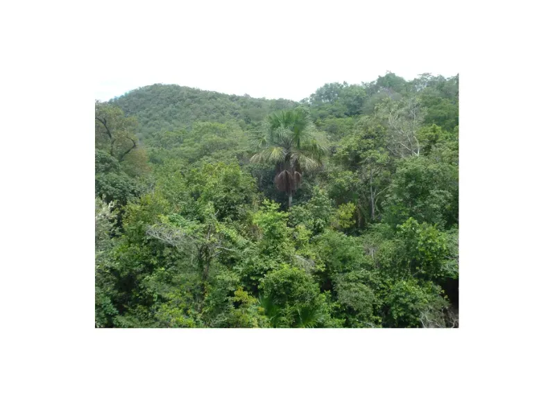 Fazenda em Trombas/Goiás — Ref KUUXAG — Imagem 37