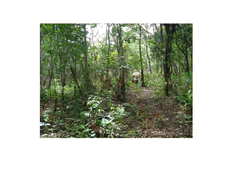 Fazenda em Trombas/Goiás — Ref KUUXAG — Imagem 38
