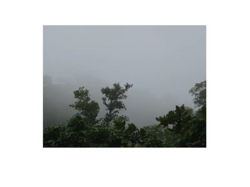 Fazenda em Trombas/Goiás — Ref KUUXAG — Imagem 40