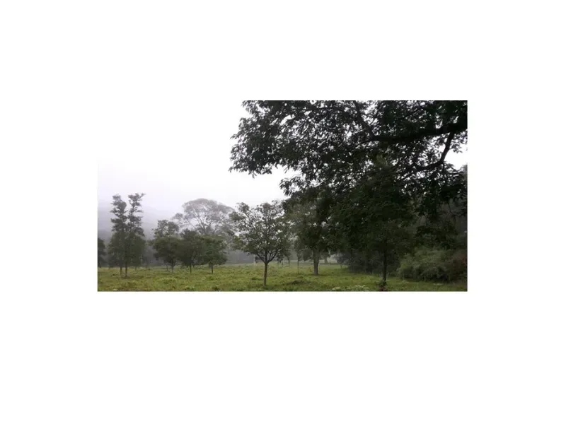Fazenda em Trombas/Goiás — Ref KUUXAG — Imagem 41