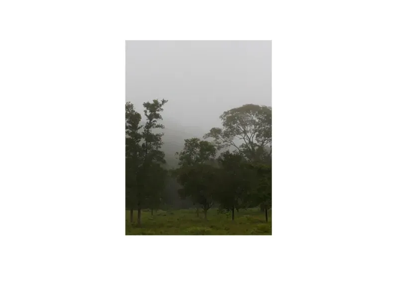 Fazenda em Trombas/Goiás — Ref KUUXAG — Imagem 44