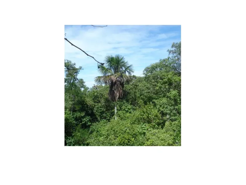 Fazenda em Trombas/Goiás — Ref KUUXAG — Imagem 43